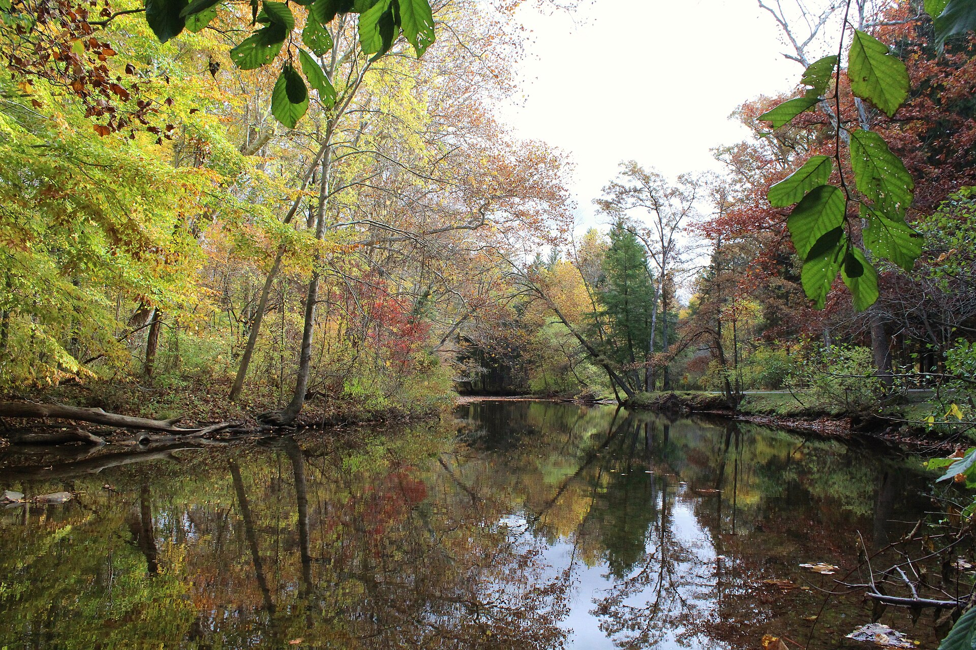 Loyalhanna Creek in autumn, still water reflecting yellow and red trees